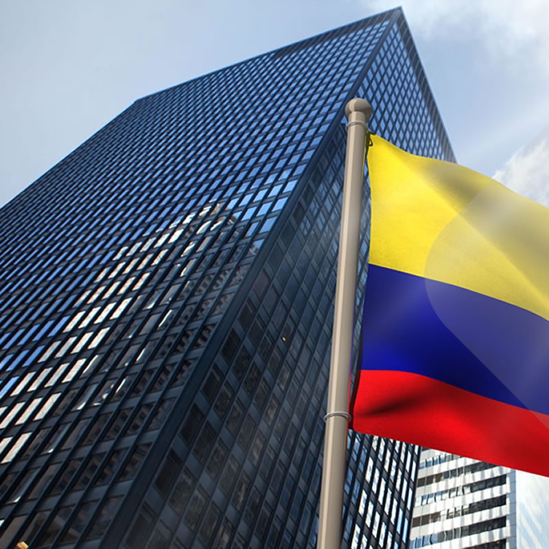 Compromiso y dedicación